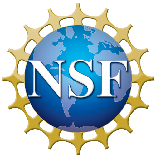NSF Logo